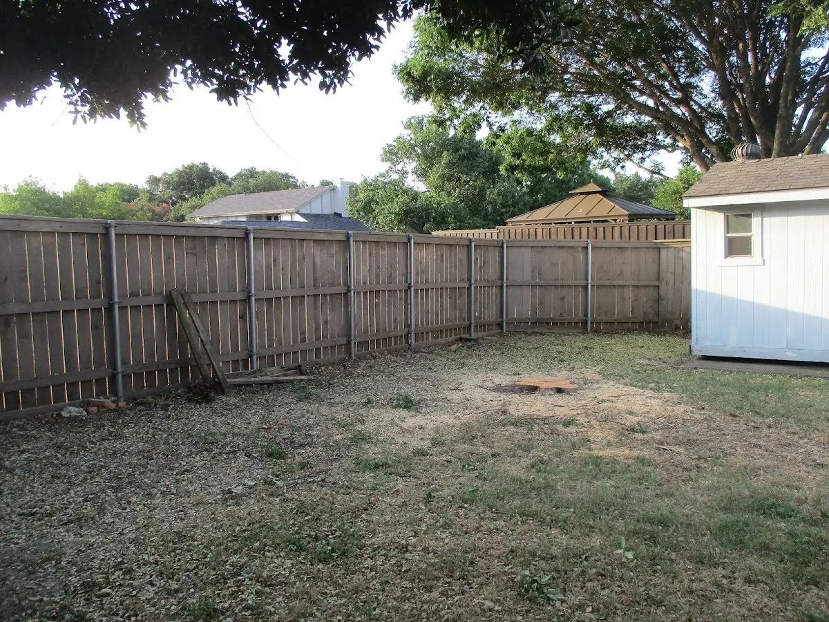 Cleared yard after professional tree removal in Hermitage